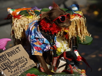 Dogs participate in the 34th Annual Halloween Dog Parade in Washington Square Park in lower Manhattan, New York, New York, U.S., on October...