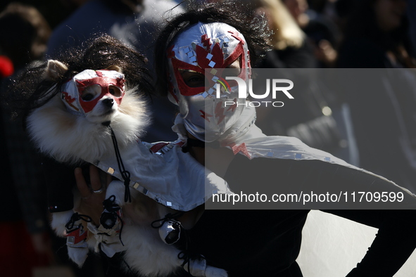 Dogs participate in the 34th Annual Halloween Dog Parade in Washington Square Park in lower Manhattan, New York, New York, U.S., on October...