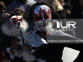 Dogs participate in the 34th Annual Halloween Dog Parade in Washington Square Park in lower Manhattan, New York, New York, U.S., on October...