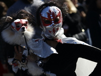 Dogs participate in the 34th Annual Halloween Dog Parade in Washington Square Park in lower Manhattan, New York, New York, U.S., on October...