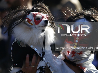 Dogs participate in the 34th Annual Halloween Dog Parade in Washington Square Park in lower Manhattan, New York, New York, U.S., on October...