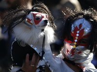 Dogs participate in the 34th Annual Halloween Dog Parade in Washington Square Park in lower Manhattan, New York, New York, U.S., on October...