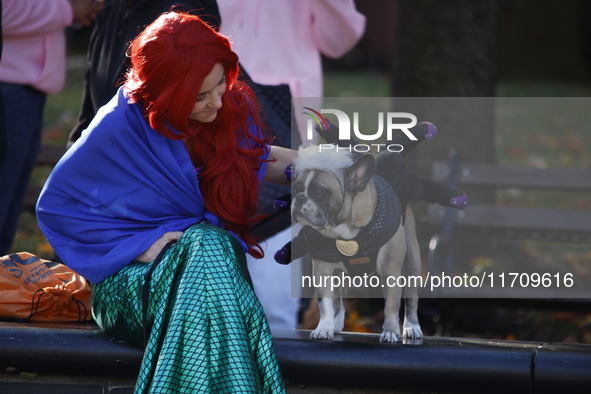 Dogs participate in the 34th Annual Halloween Dog Parade in Washington Square Park in lower Manhattan, New York, New York, U.S., on October...