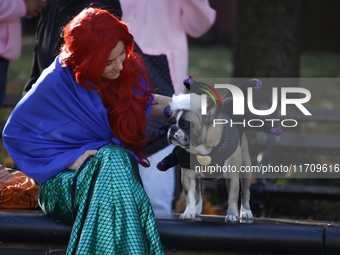 Dogs participate in the 34th Annual Halloween Dog Parade in Washington Square Park in lower Manhattan, New York, New York, U.S., on October...