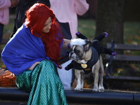 Dogs participate in the 34th Annual Halloween Dog Parade in Washington Square Park in lower Manhattan, New York, New York, U.S., on October...