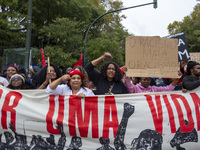 In Lisbon, Portugal, on October 26, 2024, demonstrators march from Marques de Pombal Square to Praca dos Restauradores. They protest the dea...