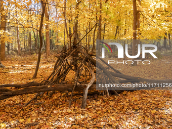 Vivid Fall Colors Illuminate Schiller Woods Near Che-Che-Pin-Qua In Chicago, Illinois, On October 26, 2024, Showcasing An Array Of Hiking Tr...