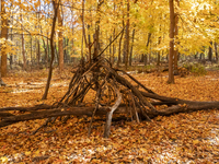 Vivid Fall Colors Illuminate Schiller Woods Near Che-Che-Pin-Qua In Chicago, Illinois, On October 26, 2024, Showcasing An Array Of Hiking Tr...