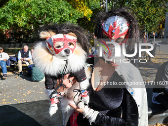 Tintin from Colombia and her dog Tintin dress as Lucha libre wrestlers for the Washington Square Park Halloween Dog Parade in New York, N.Y....