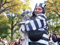 A dog and its owner dress as old-time prisoners and walk the red carpet during the Washington Square Park Halloween Dog Parade in New York,...