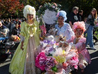 Tiny NYC Cuties, dressed in Baroque style with big gowns, big hair, and corsets, win first prize in the Washington Square Park Halloween Dog...