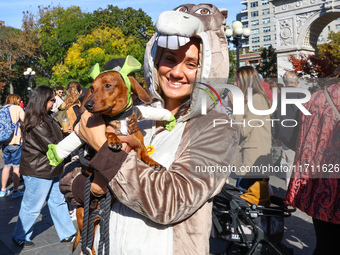 Scarlett from Manhattan has her dog Hamilton, a dachshund, dressed in a costume at the Washington Square Park Halloween Dog Parade in New Yo...