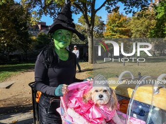 Robyn dresses as Elphaba and her rescue dog 89 as Glinda from Wicked pose for a photo during the Washington Square Park Halloween Dog Parade...