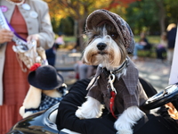 Avery Finn poses for a photo during the Washington Square Park Halloween Dog Parade in New York, N.Y., on October 26, 2024. (