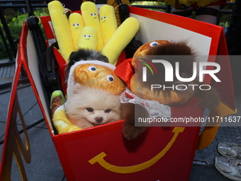 A couple dresses as McDonald's characters with a cart filled with Pomeranians dressed as hamburgers and french fries and poses for a photo d...