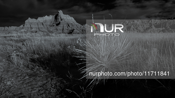 Badlands National Park protects 242,756 acres (379.3 sq mi; 982.4 km2) of sharply eroded buttes and pinnacles, along with the largest undist...