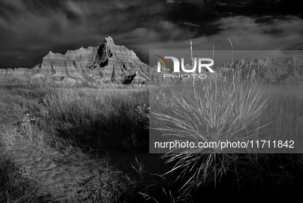 Badlands National Park protects 242,756 acres (379.3 sq mi; 982.4 km2) of sharply eroded buttes and pinnacles, along with the largest undist...