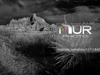 Badlands National Park protects 242,756 acres (379.3 sq mi; 982.4 km2) of sharply eroded buttes and pinnacles, along with the largest undist...