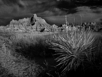 Badlands National Park protects 242,756 acres (379.3 sq mi; 982.4 km2) of sharply eroded buttes and pinnacles, along with the largest undist...