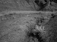 Badlands National Park protects 242,756 acres (379.3 sq mi; 982.4 km2) of sharply eroded buttes and pinnacles, along with the largest undist...