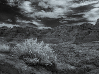 Badlands National Park protects 242,756 acres (379.3 sq mi; 982.4 km2) of sharply eroded buttes and pinnacles, along with the largest undist...