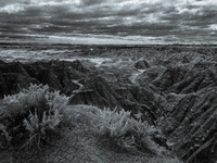 Badlands National Park protects 242,756 acres (379.3 sq mi; 982.4 km2) of sharply eroded buttes and pinnacles, along with the largest undist...