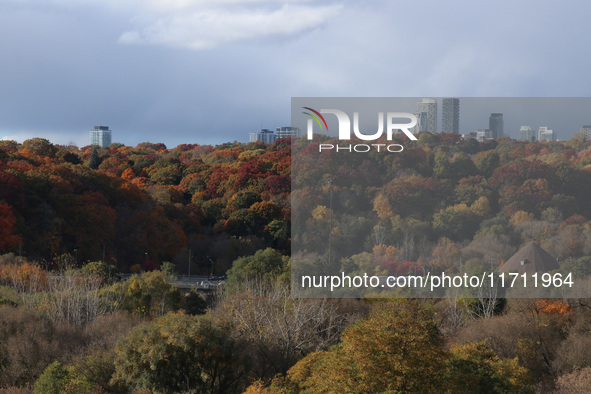 A general view of Don Valley Park as trees display their full autumn colors in Toronto, Ontario, Canada, on October 26, 2024. 