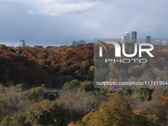 A general view of Don Valley Park as trees display their full autumn colors in Toronto, Ontario, Canada, on October 26, 2024. (