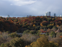 A general view of Don Valley Park as trees display their full autumn colors in Toronto, Ontario, Canada, on October 26, 2024. (