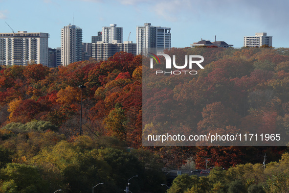 A general view of Don Valley Park as trees display their full autumn colors in Toronto, Ontario, Canada, on October 26, 2024. 