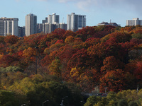 A general view of Don Valley Park as trees display their full autumn colors in Toronto, Ontario, Canada, on October 26, 2024. (