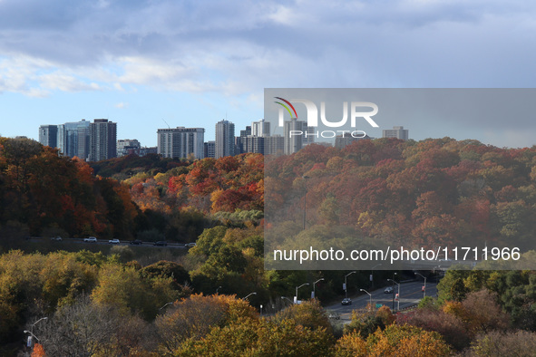 A general view of Don Valley Park as trees display their full autumn colors in Toronto, Ontario, Canada, on October 26, 2024. 