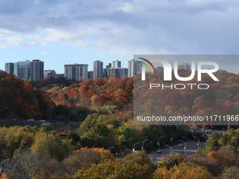 A general view of Don Valley Park as trees display their full autumn colors in Toronto, Ontario, Canada, on October 26, 2024. (