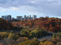 A general view of Don Valley Park as trees display their full autumn colors in Toronto, Ontario, Canada, on October 26, 2024. (