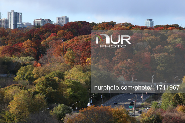 A general view of Don Valley Park as trees display their full autumn colors in Toronto, Ontario, Canada, on October 26, 2024. 