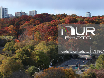 A general view of Don Valley Park as trees display their full autumn colors in Toronto, Ontario, Canada, on October 26, 2024. (