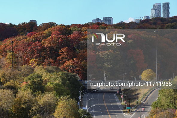 A general view of Don Valley Park as trees display their full autumn colors in Toronto, Ontario, Canada, on October 26, 2024. 