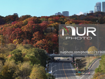 A general view of Don Valley Park as trees display their full autumn colors in Toronto, Ontario, Canada, on October 26, 2024. (