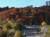 A general view of Don Valley Park as trees display their full autumn colors in Toronto, Ontario, Canada, on October 26, 2024. (