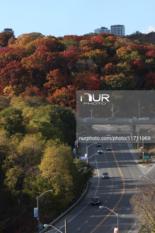 A general view of Don Valley Park as trees display their full autumn colors in Toronto, Ontario, Canada, on October 26, 2024. 