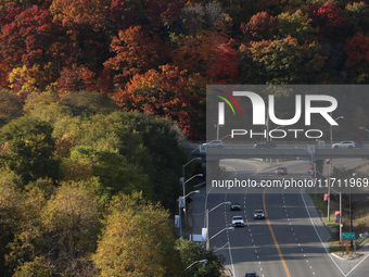 A general view of Don Valley Park as trees display their full autumn colors in Toronto, Ontario, Canada, on October 26, 2024. (