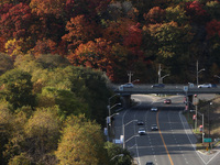 A general view of Don Valley Park as trees display their full autumn colors in Toronto, Ontario, Canada, on October 26, 2024. (