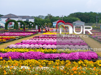 Tourists view chrysanthemums at the Chrysanthemum Garden at Jiangning Lake in Nanjing, China, on October 27, 2024. (