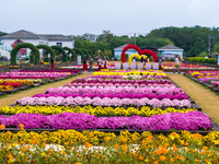 Tourists view chrysanthemums at the Chrysanthemum Garden at Jiangning Lake in Nanjing, China, on October 27, 2024. (