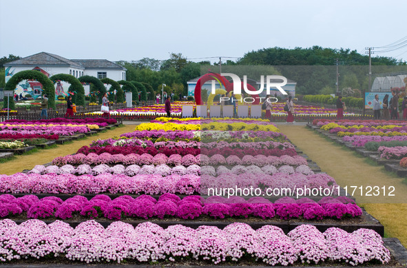 Tourists view chrysanthemums at the Chrysanthemum Garden at Jiangning Lake in Nanjing, China, on October 27, 2024. 