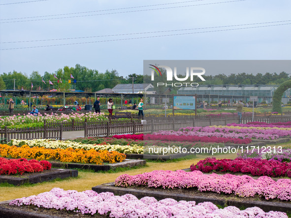 Tourists view chrysanthemums at the Chrysanthemum Garden at Jiangning Lake in Nanjing, China, on October 27, 2024. 