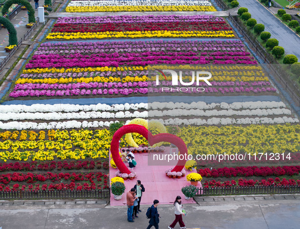 Tourists view chrysanthemums at the Chrysanthemum Garden at Jiangning Lake in Nanjing, China, on October 27, 2024. 