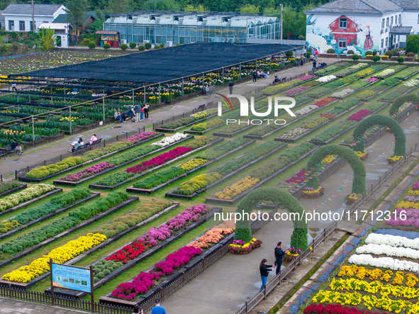 Tourists view chrysanthemums at the Chrysanthemum Garden at Jiangning Lake in Nanjing, China, on October 27, 2024. 