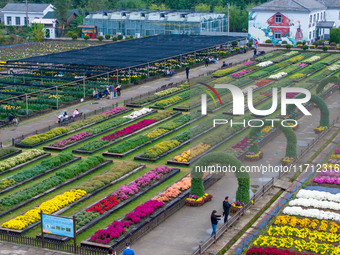 Tourists view chrysanthemums at the Chrysanthemum Garden at Jiangning Lake in Nanjing, China, on October 27, 2024. (