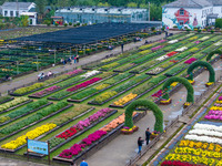 Tourists view chrysanthemums at the Chrysanthemum Garden at Jiangning Lake in Nanjing, China, on October 27, 2024. (